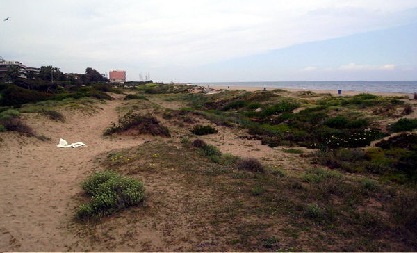 Dunes de Llevant Mar (nord de Gavà Mar), a la dreta es veu Gav Martima